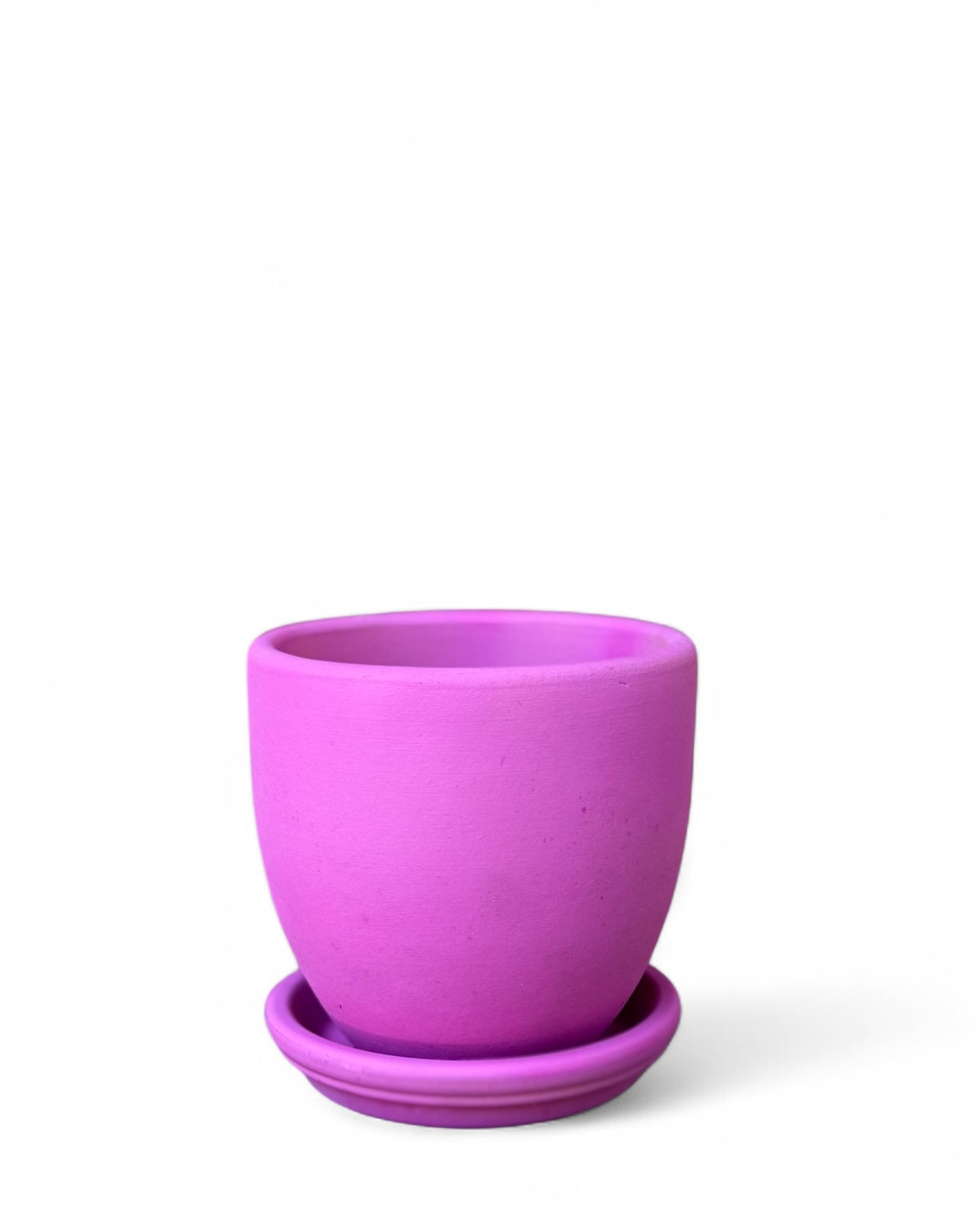 Power Pink 5.5” Belle Pot